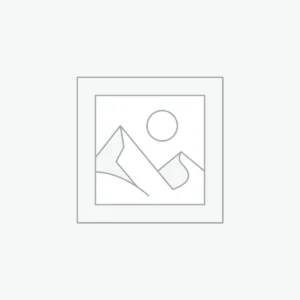 Hydraulic Seals & Fittings